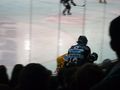 Black Wings Vs. Vienna Capitals 7.12.08 49875251