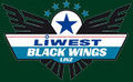 Black Wings 52934594