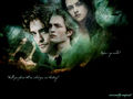 twilight 61992280