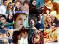 twilight 61992708