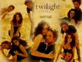 twilight 61993212