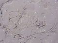 ItAlien miiT deN bEsten 68556367