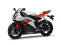 Yamaha R6 48679896