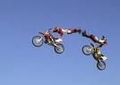 freestyle motocross 50224914