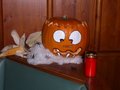 Halloween-Party in Pub Grein 11210841
