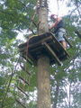 Lisa mit Papa im Kletterwald 64141964