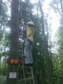 Lisa mit Papa im Kletterwald 64141967