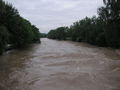 Hochwasser 2009 61902730