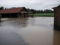 Hochwasser 2009 61902799