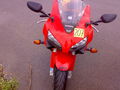 Bike 51493325