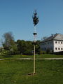 Unser Maibaum 2009 58808274