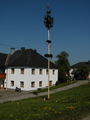 Unser Maibaum 2009 58808352