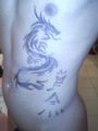 Tunesien 2009 65425793