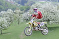 MX Training Behamberg 2009 66578921