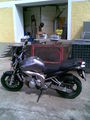 moped 49214881