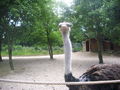 wir waren im zoo 60659751