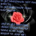 Ohne Worte 59084256