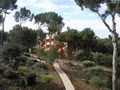 Mallorca 09 57381999