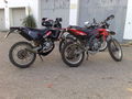 85ccm Monster und fufies 49467881