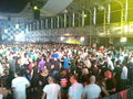 Q-Base 2010 74689771