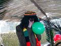 FASCHING 2009 54640820