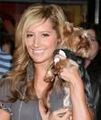 ashley tisdale 52395786