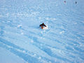 Kitzsteinhorn 2008 - Chris 49807875