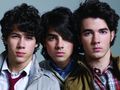 Jonas Brothers 66491051