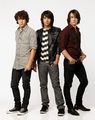 Jonas Brothers 66506583