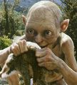 _Gollum_ - Fotoalbum