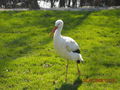 Tierpark  besuch 57431162