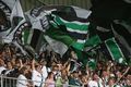 Borussia Mönchengladbach 49939928