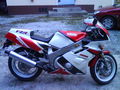 Meine Yamaha,Freunde und Diverses 55435815