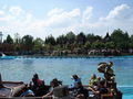 Europapark 2008 38657596