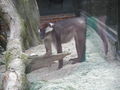 Tierpark Schmiding 63763413