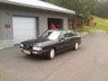 Audis 50317078