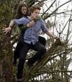 i lovEE tWiliGht 54302743