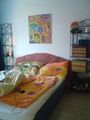 Anschiii´s neue Wohnung :) 50800432