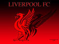 Liverpool fc 70636358