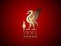 Liverpool fc 70636443