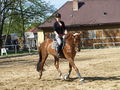 Reiten 58597898