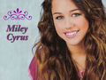 Miley 53390661