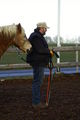 Training mit Rudi 50380448