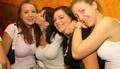 meine Friends 2586641