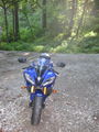 meine yamaha 59854694