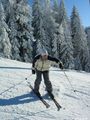 gosau supergaudi im schnee 51717149