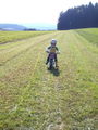 Mein kleiner Motocrosser!!! 65262368