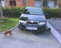 Skoda fabia rs 60655019