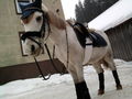 Winterspaß mit NELLY !!!! 75274617