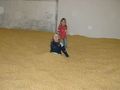 Ferienprogram der sommerferien 56319831